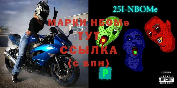 индика Зеленодольск