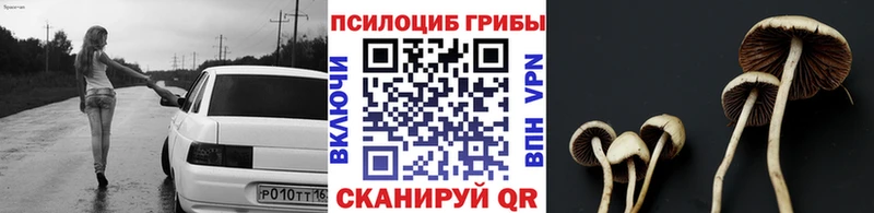 Купить где  Харабали  Псилоцибиновые грибы Magic Shrooms 